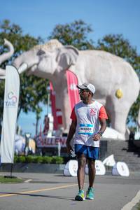 BIB: 
                            <button type="button" onclick="openModal(26545157)" class="btn btn-primary btn-sm float-right btn-popup" data-toggle="modal" data-target=".modal-high-quality">
                        <i class="fas fa-shopping-cart"></i> Add to Cart
                    </button>
                                            <button type="button" onclick="isThisMe(26545157, true)" class="btn btn-success btn-sm float-right btn-popup btn-isme hidden" data-toggle="tooltip" data-placement="bottom" title="นี่คือรูปของคุณใช่ไหม คลิกที่นี่เพื่อเอาเข้าอัลบั้ม">
                        <i class="fas fa-plus"></i> Add to album
                    </button>
                    <button type="button" onclick="isThisMe(26545157, false)" class="btn btn-warning btn-sm float-right btn-popup btn-isnotme hidden">
                        <i class="fas fa-ban"></i> Remove from album
                    </button>